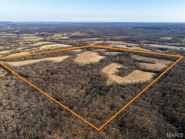 00 Pike 273, Louisiana, MO 63353