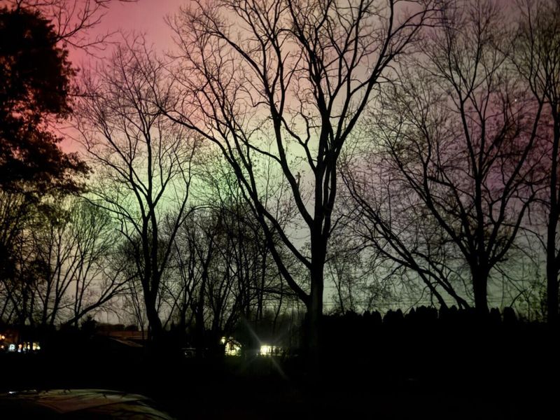 8140 Schleppi Road , Westerville, OH 43081 Photo 81