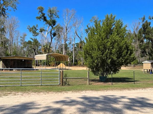 2019 River Rd, Steinhatchee, FL 32359