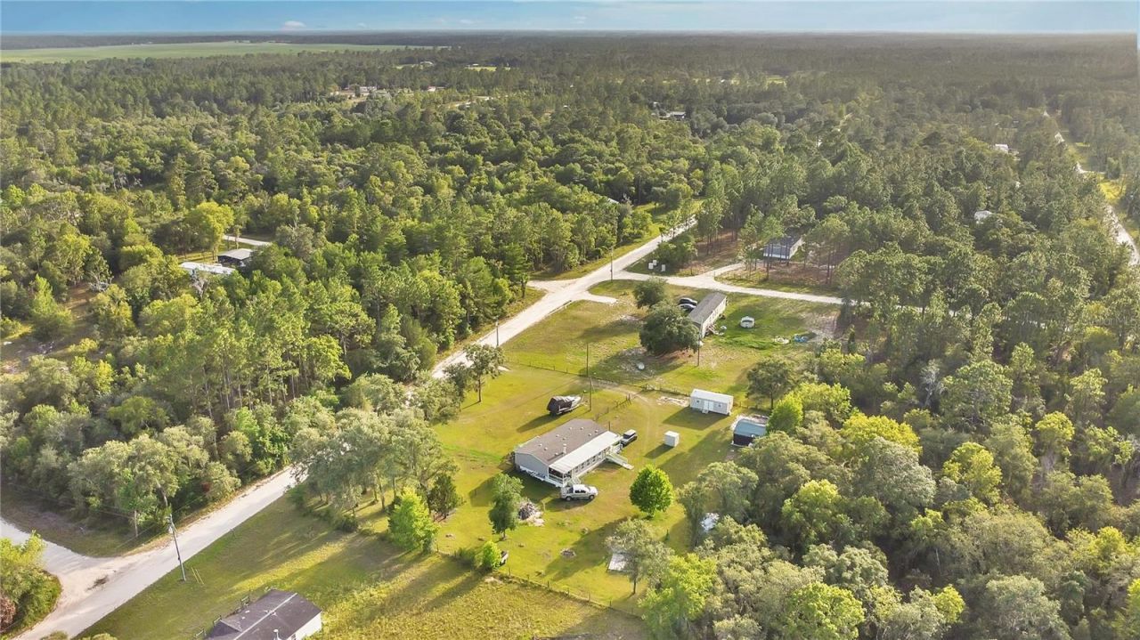 12531 NE 18th Street, Williston, FL 32696 Photo