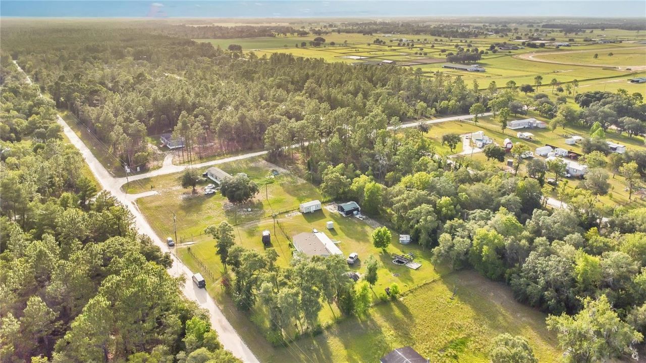 12531 NE 18th Street, Williston, FL 32696 Photo