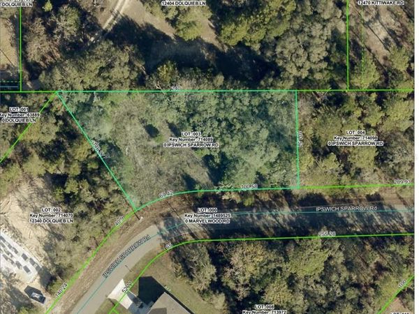 12095 IPSWICH SPARROW ROAD , WEEKI WACHEE, FL 34614