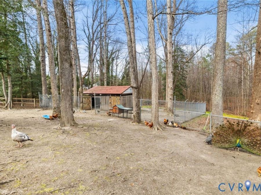 Property Image 33
