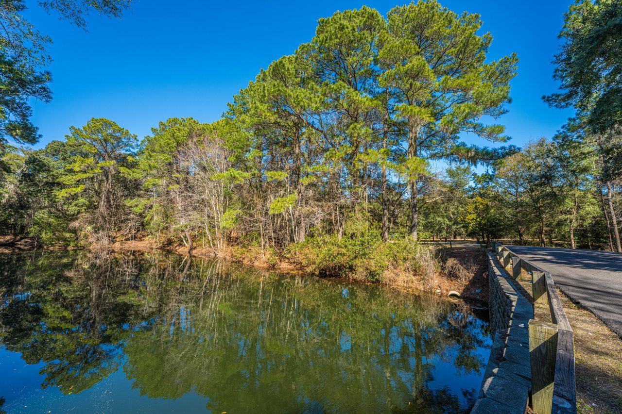 4066 Gnarled Oaks Lane Photo 11