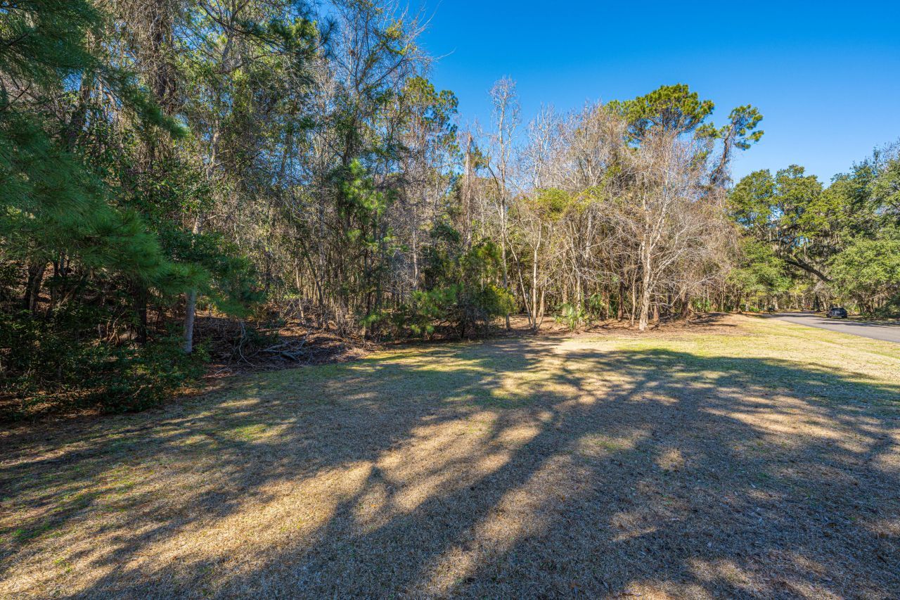 4066 Gnarled Oaks Lane Photo 12