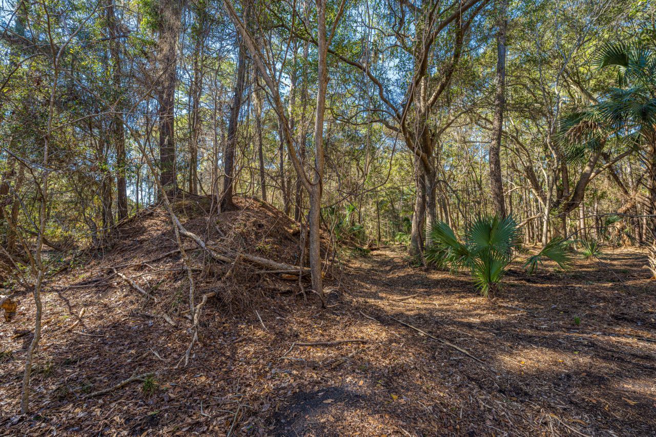 4066 Gnarled Oaks Lane Photo 14