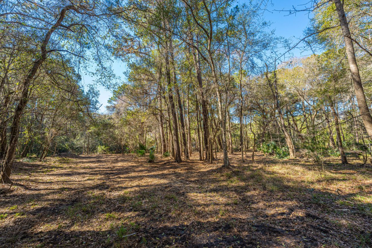 4066 Gnarled Oaks Lane Photo 16