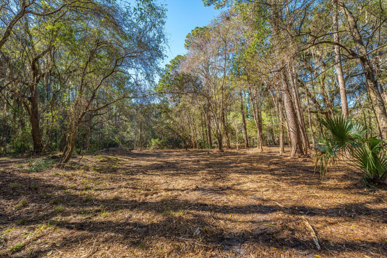 4066 Gnarled Oaks Lane Photo 17