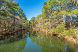 4066 Gnarled Oaks Lane photo 4