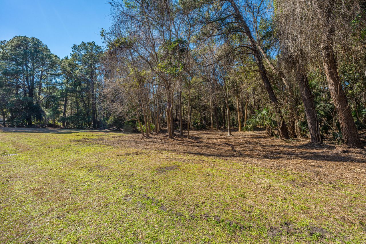 4066 Gnarled Oaks Lane Photo 5