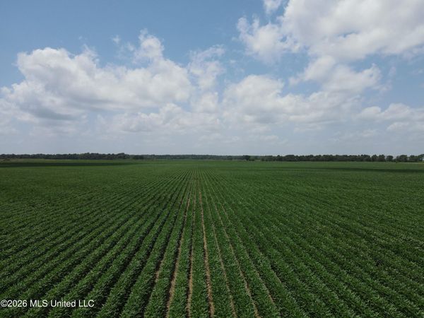 Hot Thornton Road, Tunica, MS 38676