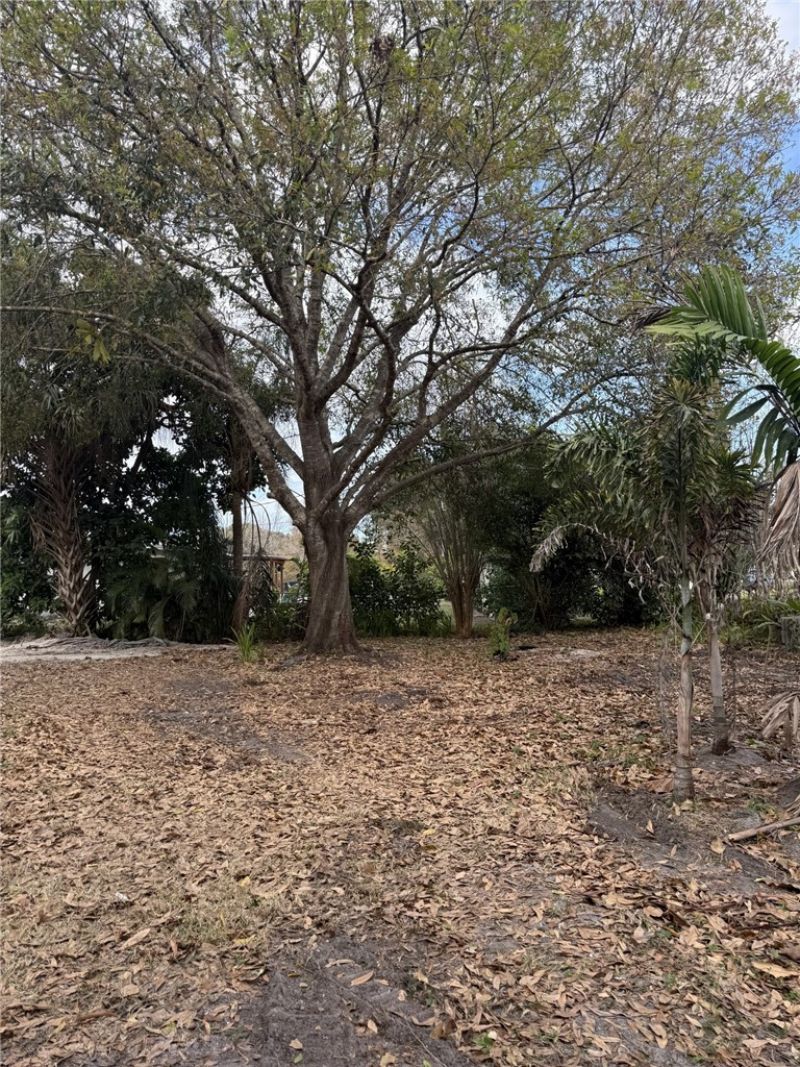 116 18th Avenue, Vero Beach, FL 32962 Photo