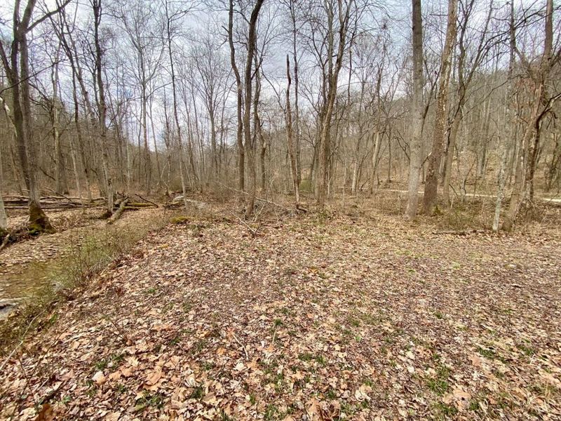 ac Beech Fork Road, Otway, OH 45657 Photo 10