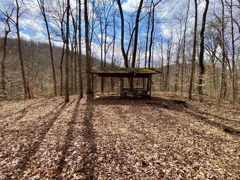 ac Beech Fork Road, Otway, OH 45657 Photo 12