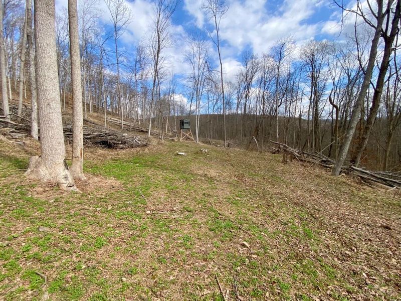 ac Beech Fork Road, Otway, OH 45657 Photo 15