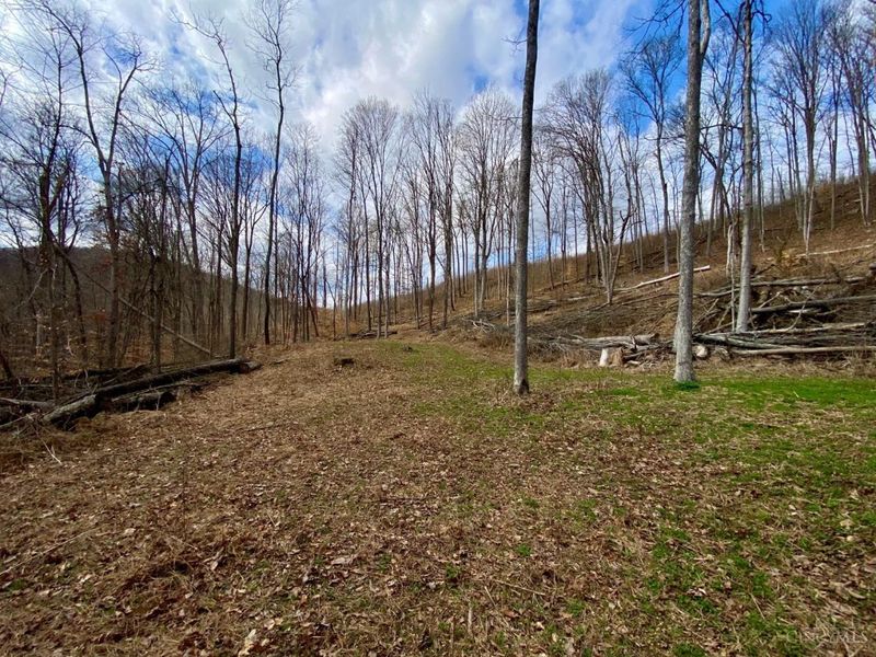 ac Beech Fork Road, Otway, OH 45657 Photo 16