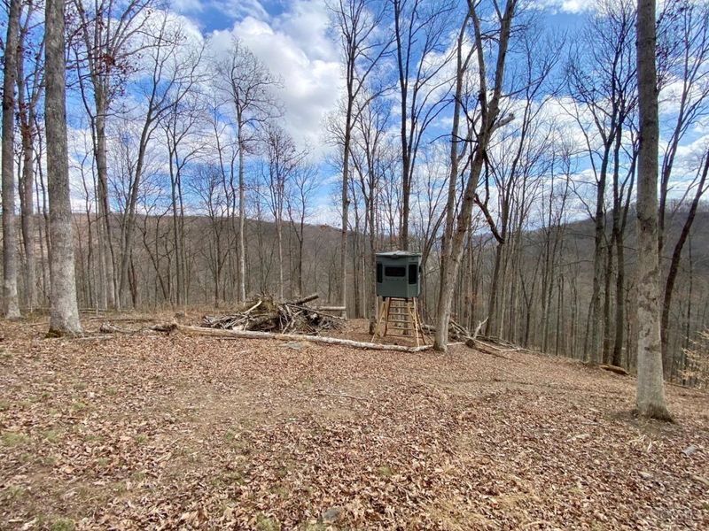 ac Beech Fork Road, Otway, OH 45657 Photo 18