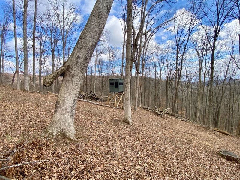 ac Beech Fork Road, Otway, OH 45657 Photo 19