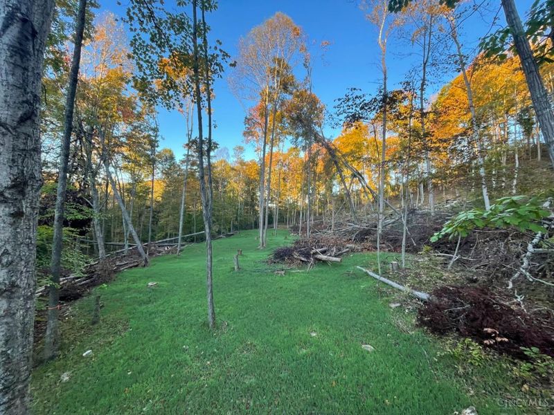 ac Beech Fork Road, Otway, OH 45657 Photo 21