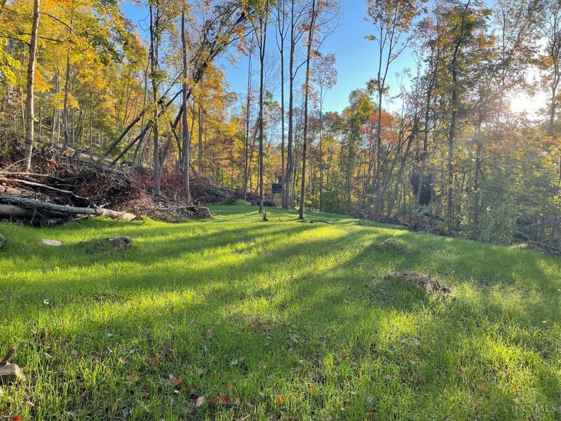 ac Beech Fork Road, Otway, OH 45657 Photo 22