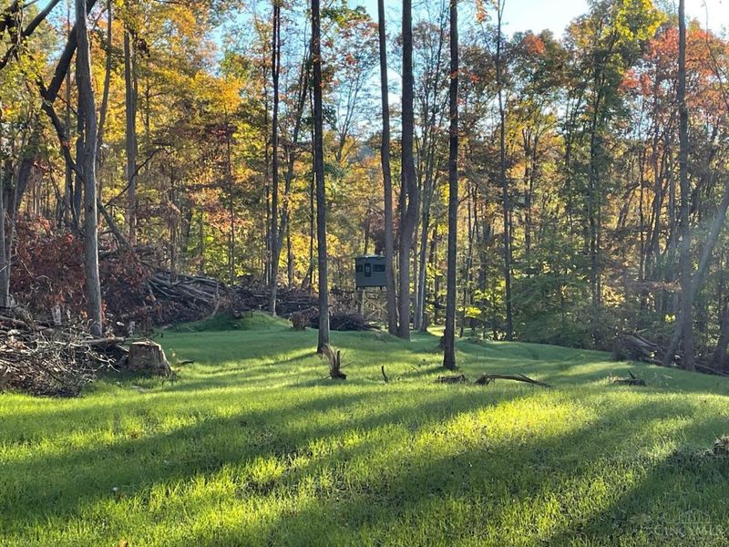ac Beech Fork Road, Otway, OH 45657 Photo 23