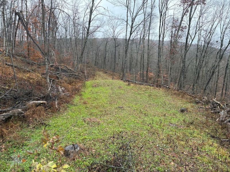 ac Beech Fork Road, Otway, OH 45657 Photo 26