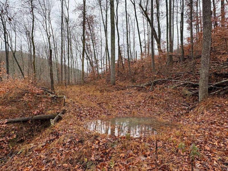 ac Beech Fork Road, Otway, OH 45657 Photo 27