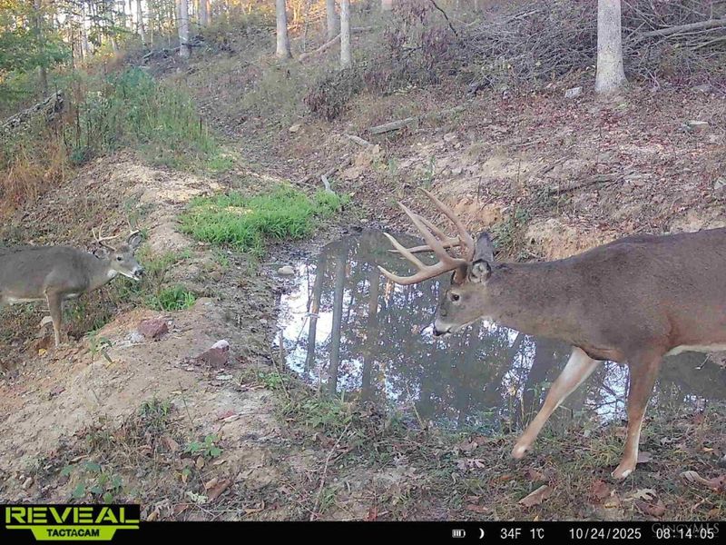 ac Beech Fork Road, Otway, OH 45657 Photo 28