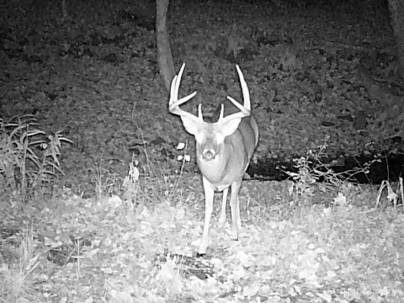 ac Beech Fork Road, Otway, OH 45657 Photo 29