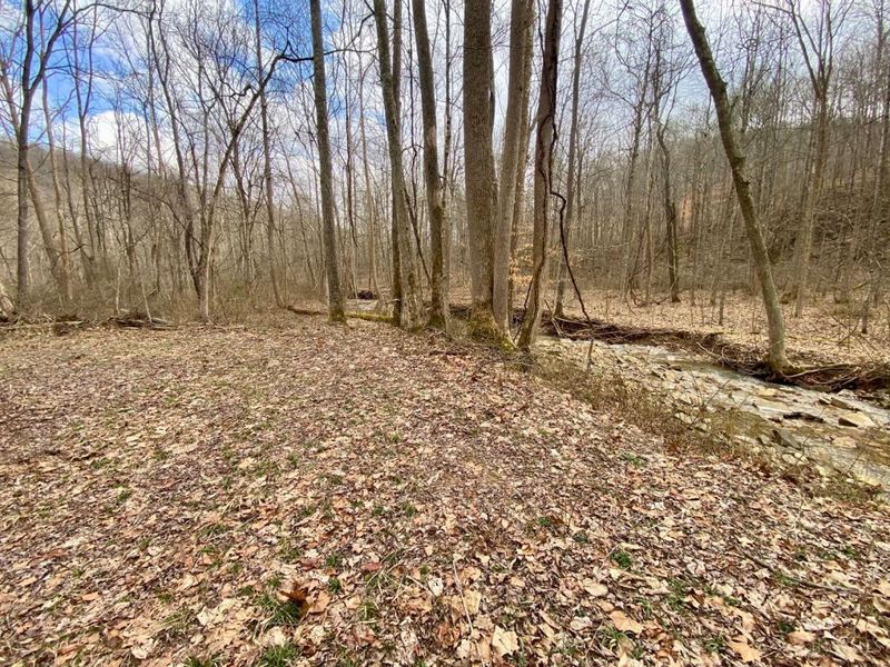 ac Beech Fork Road, Otway, OH 45657 Photo 3