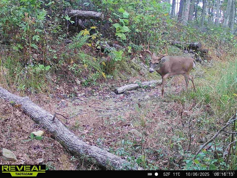 ac Beech Fork Road, Otway, OH 45657 Photo 30