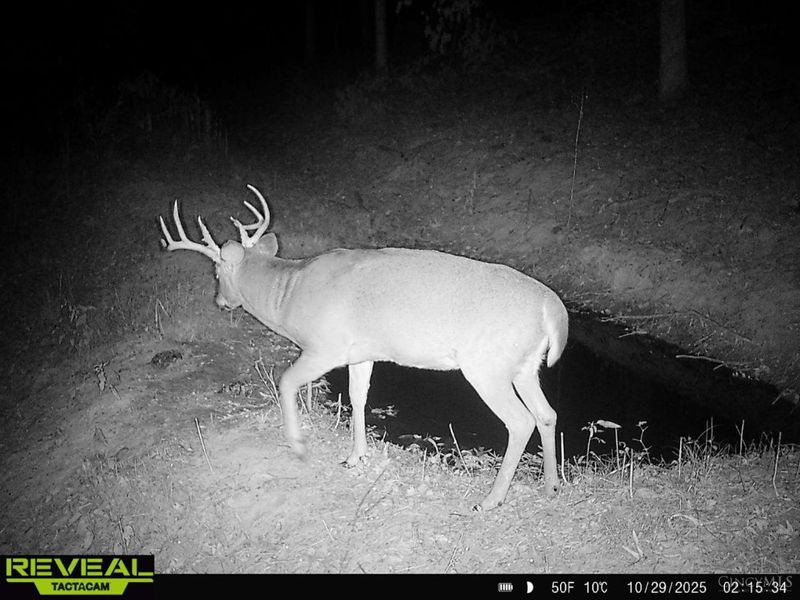 ac Beech Fork Road, Otway, OH 45657 Photo 31