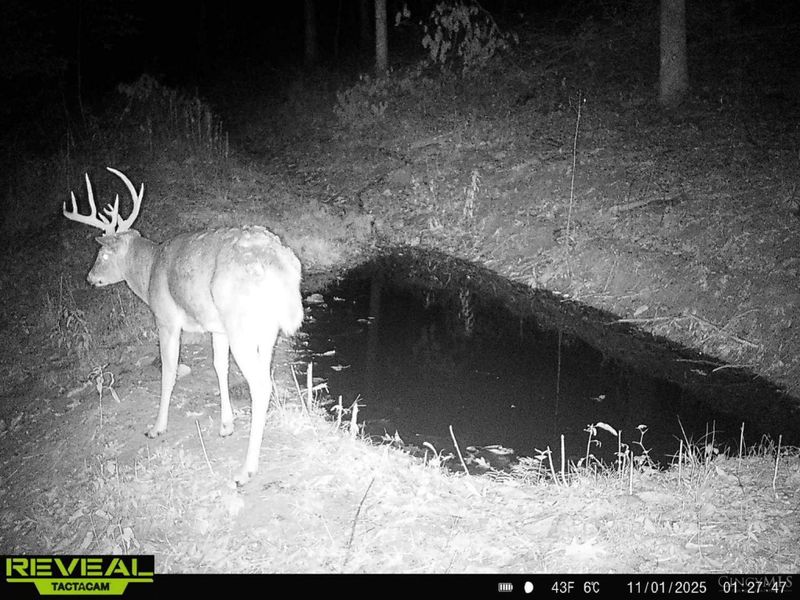 ac Beech Fork Road, Otway, OH 45657 Photo 32