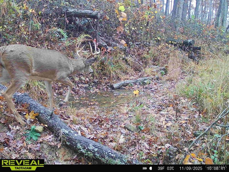 ac Beech Fork Road, Otway, OH 45657 Photo 33