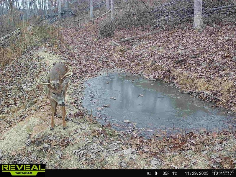 ac Beech Fork Road, Otway, OH 45657 Photo 34