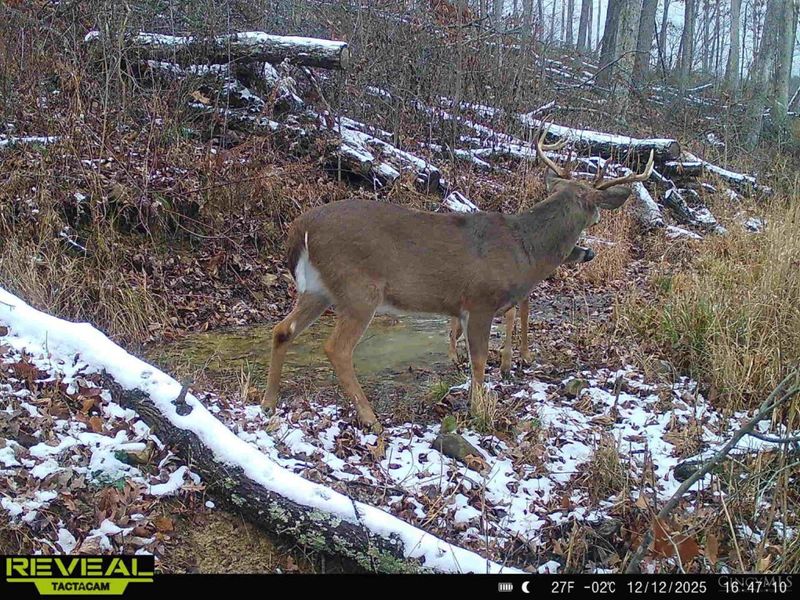 ac Beech Fork Road, Otway, OH 45657 Photo 35