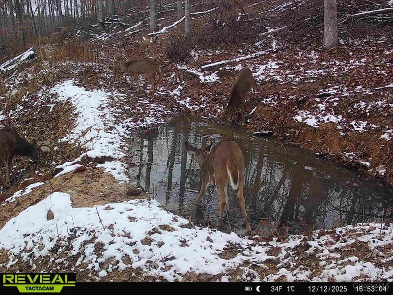 ac Beech Fork Road, Otway, OH 45657 Photo 36