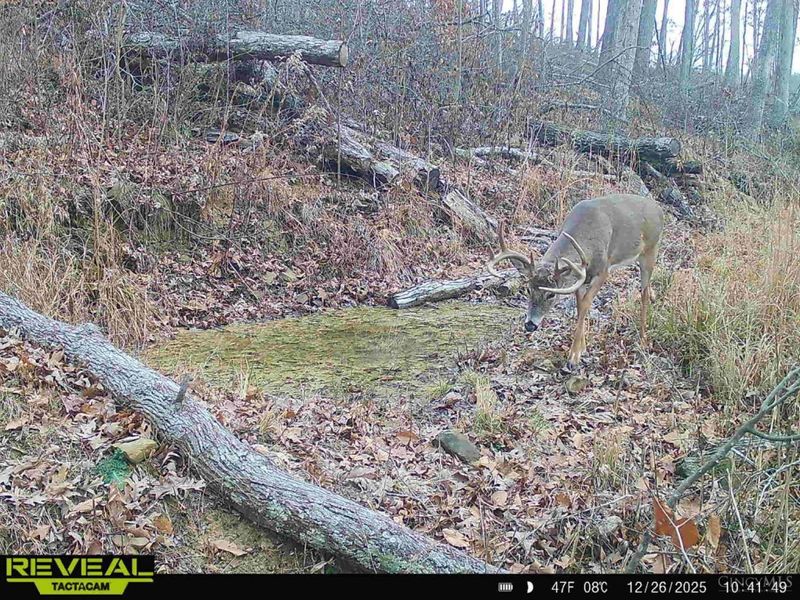 ac Beech Fork Road, Otway, OH 45657 Photo 37