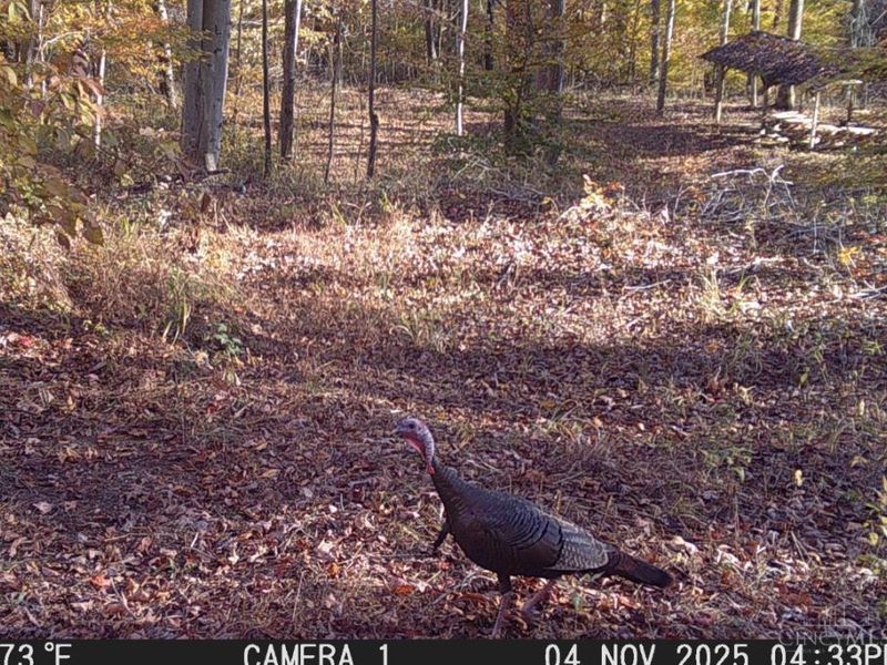 ac Beech Fork Road, Otway, OH 45657 Photo 38