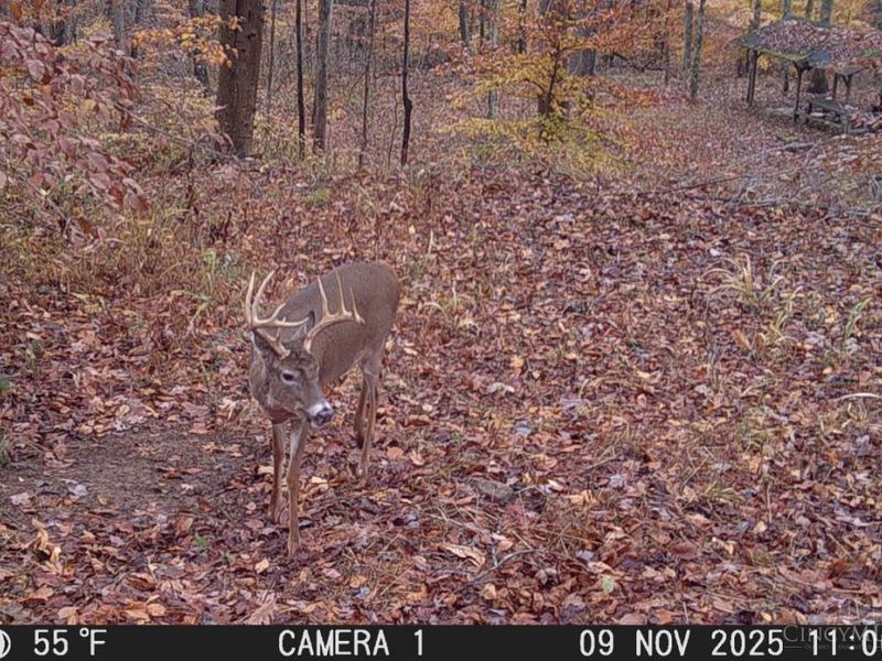 ac Beech Fork Road, Otway, OH 45657 Photo 39