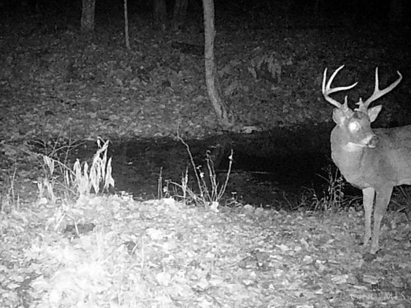 ac Beech Fork Road, Otway, OH 45657 Photo 40