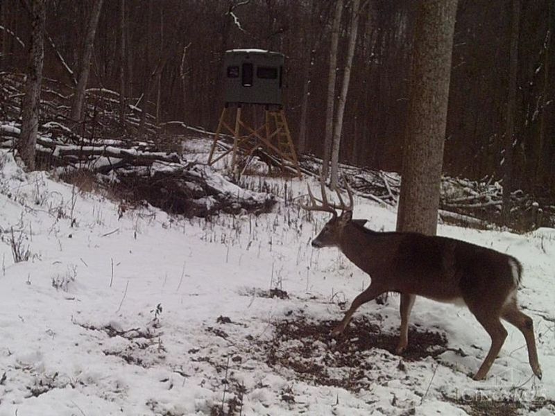 ac Beech Fork Road, Otway, OH 45657 Photo 41