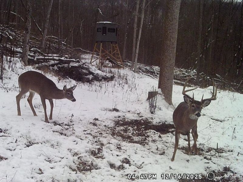 ac Beech Fork Road, Otway, OH 45657 Photo 42