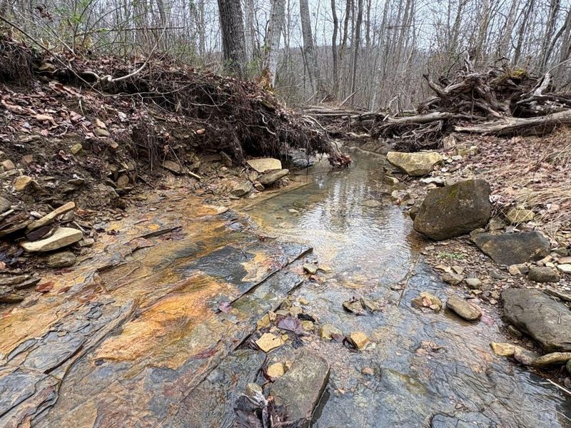 ac Beech Fork Road, Otway, OH 45657 Photo 45