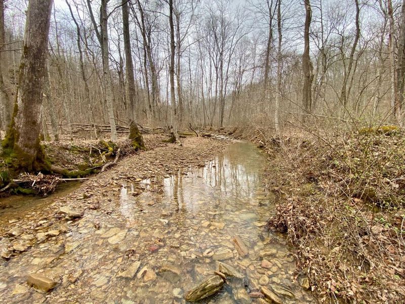 ac Beech Fork Road, Otway, OH 45657 Photo 6