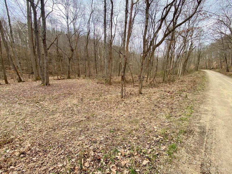 ac Beech Fork Road, Otway, OH 45657 Photo 7