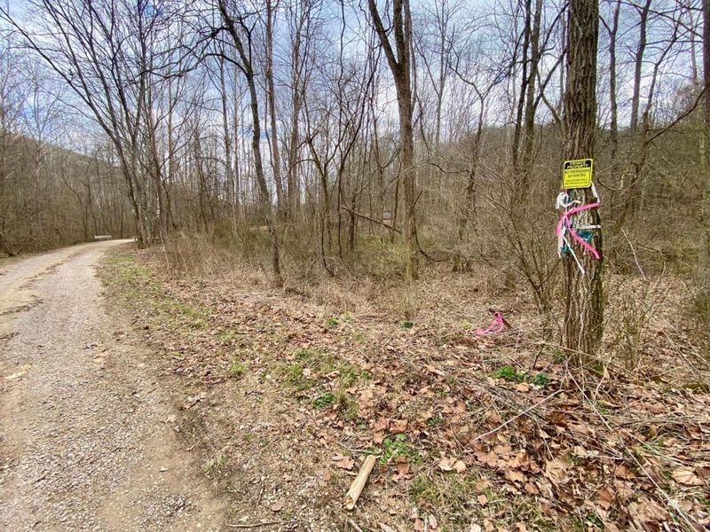 ac Beech Fork Road, Otway, OH 45657 Photo 9