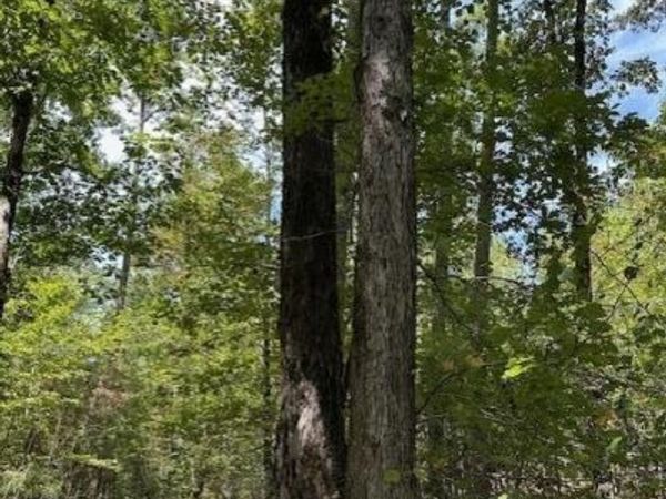 000 Ross Hollow, Roland, AR 72223