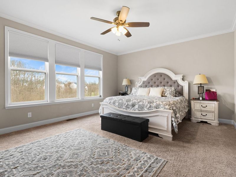 949 Traemore Place, Union, KY 41091 Photo 15