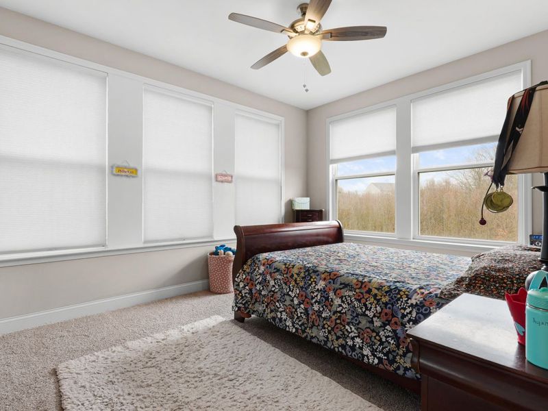 949 Traemore Place, Union, KY 41091 Photo 24